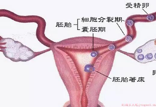 输卵管不通有哪几种情况?