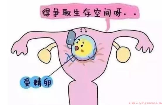 子宫内膜薄对妊娠的影响