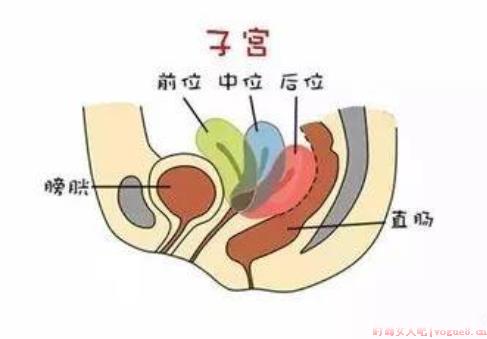 子宫偏小还能怀孕吗 子宫偏小怀孕的几率就小吗