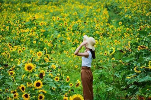 花海中穿什么衣服拍摄好看