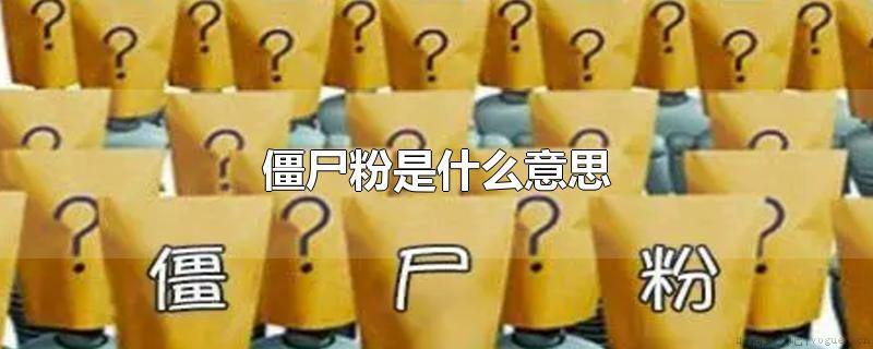 僵尸粉丝是什么意思？