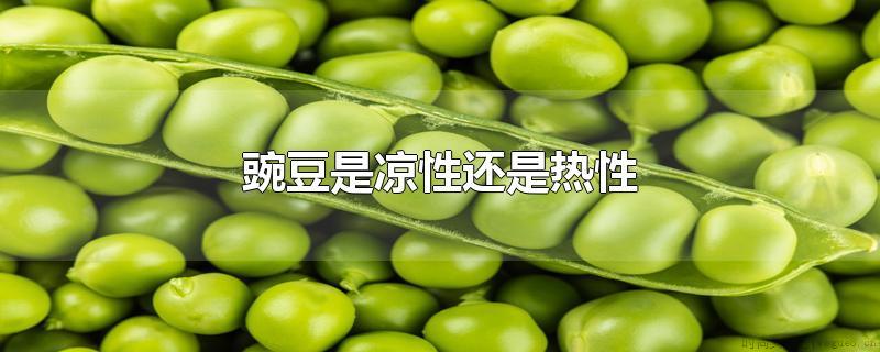 豌豆是凉的还是热的？