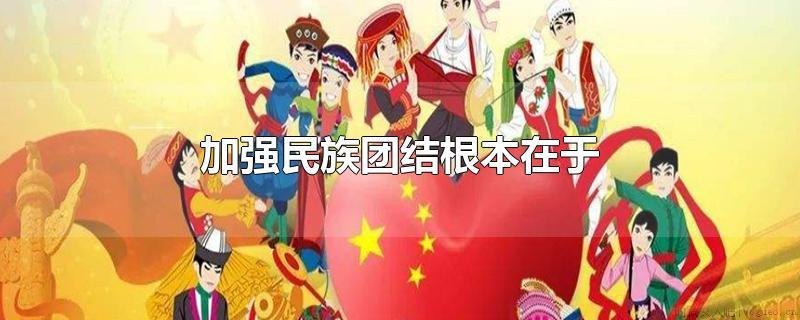 加强民族团结根本在于