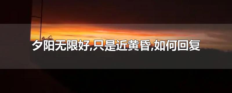 夕阳无限好 被即将到来的黑夜掩埋 如何回复？