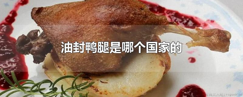 油封鸭腿是哪个国家的？