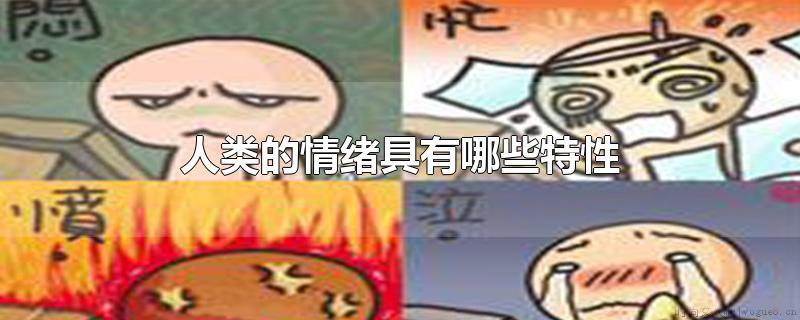 人类情感的特点是什么？