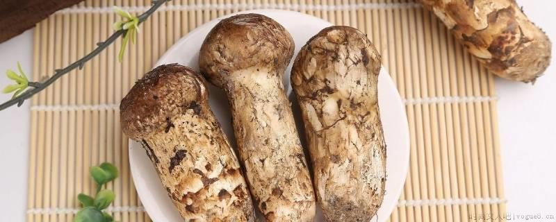 松茸冷冻后变黄还能吃吗？