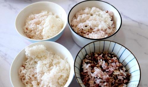 糙米饭都有哪几种米