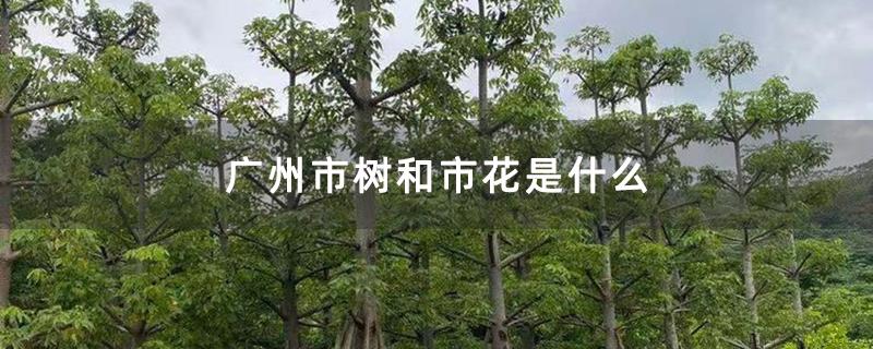 广州市树和市花是什么