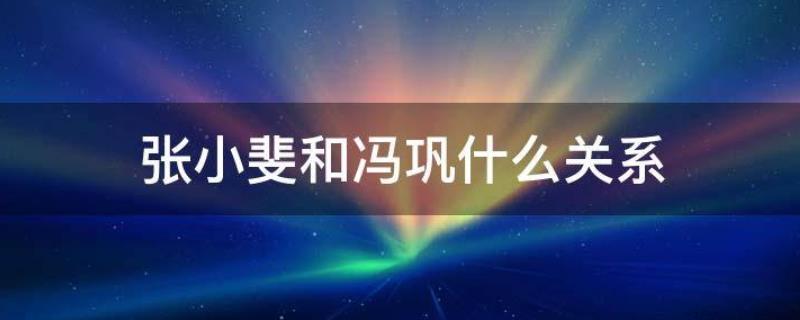 张小斐和冯巩什么关系