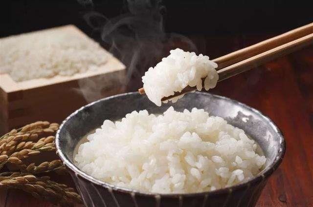 煮米饭需要多长时间能熟