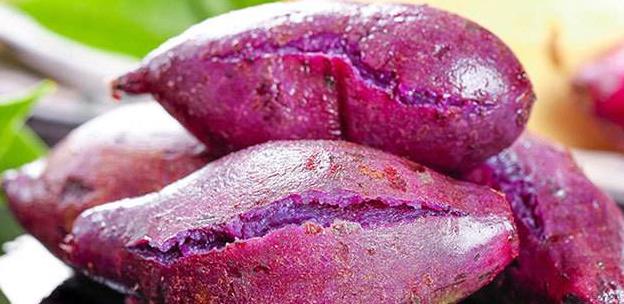 蒸紫薯要多长时间