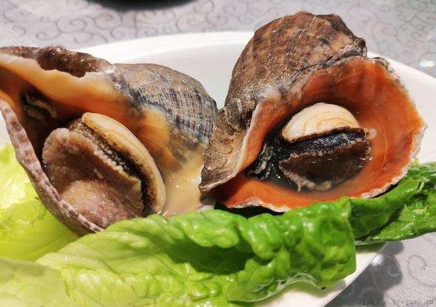 海螺的做法煮多长时间