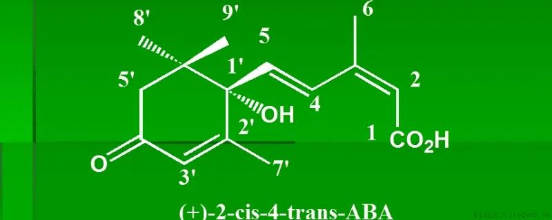 脱落酸的作用高中生物