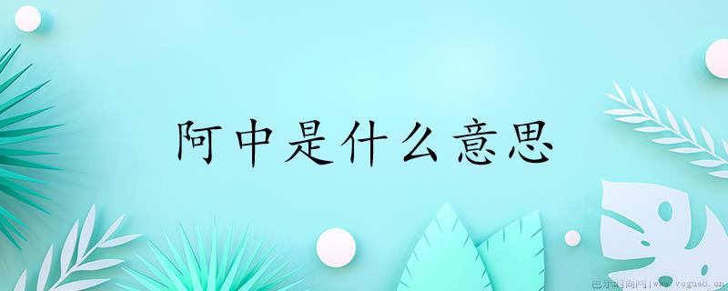 阿中是什么意思