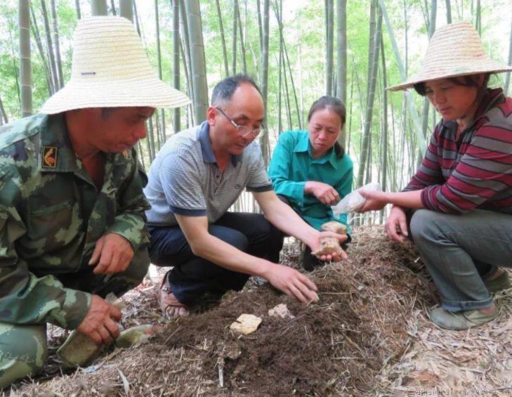 脱贫攻坚培训心得体会怎么写