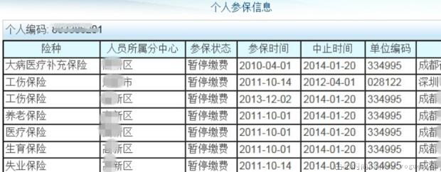 怎样查社保缴费明细