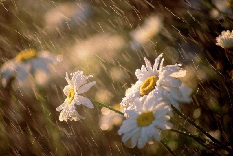 江南的梅雨季节有多长时间