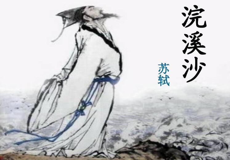 《浣溪沙》诗意是什么