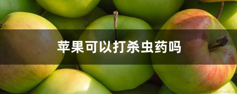 苹果可以打杀虫药吗