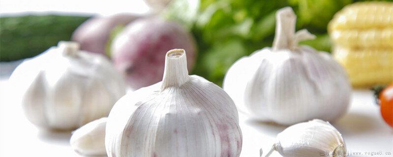 夏季种植大蒜怎么催芽