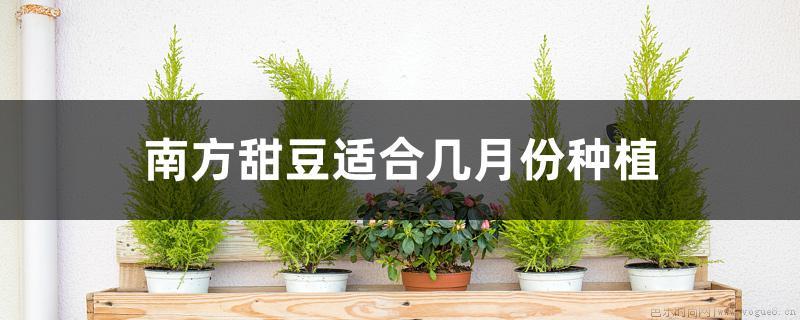 南方甜豆适合几月份种植