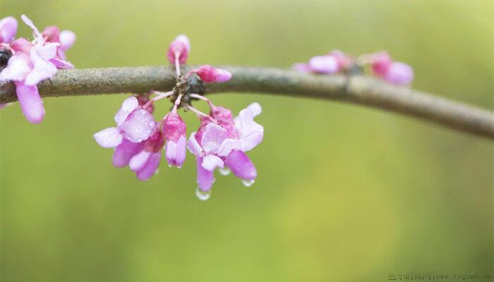 2月是什么季节