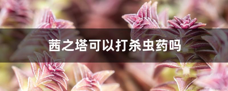 茜之塔可以打杀虫药吗