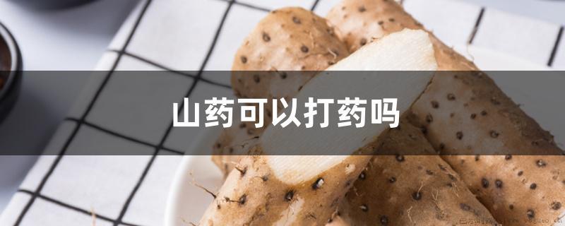 山药可以打药吗