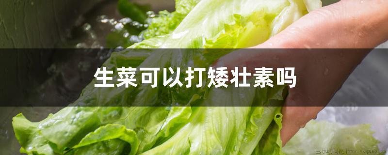 生菜可以打矮壮素吗