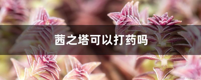 茜之塔可以打药吗