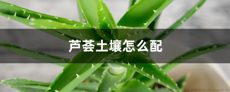 芦荟土壤怎么配