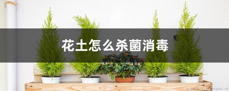 花土怎么杀菌消毒