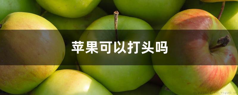 苹果可以打头吗