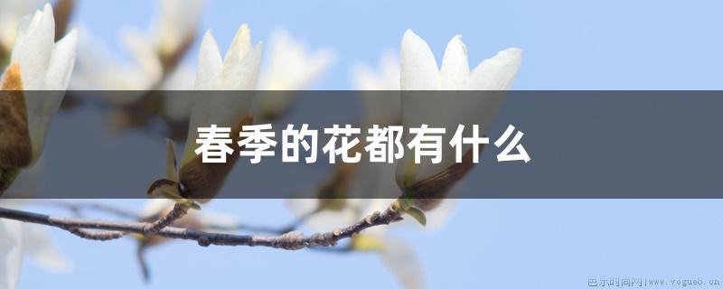 春季的花都有什么