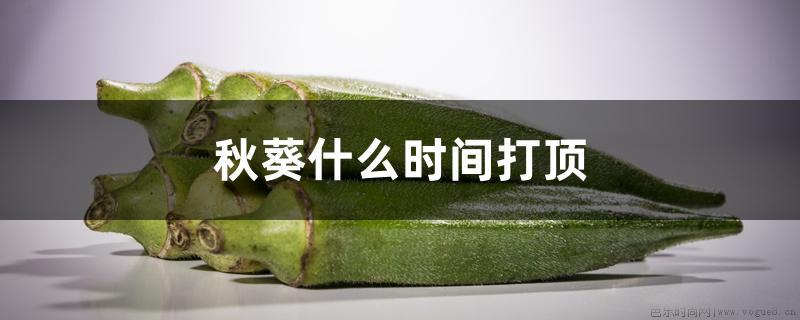 秋葵什么时间打顶