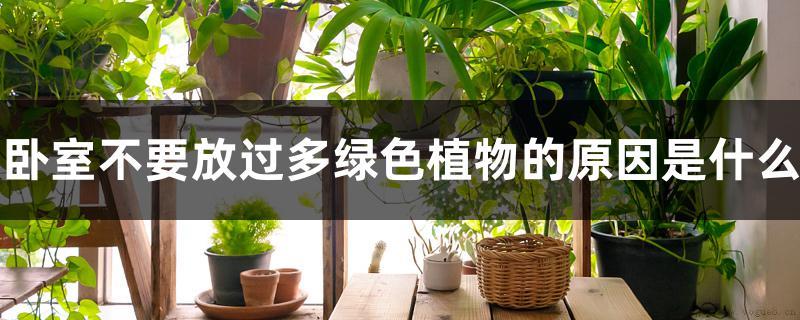 卧室不要放过多绿色植物的原因