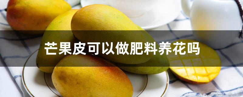 芒果皮可以做肥料养花吗