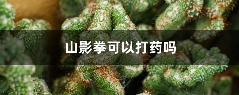 山影拳可以打药吗