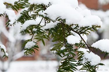 小雪节气的特点