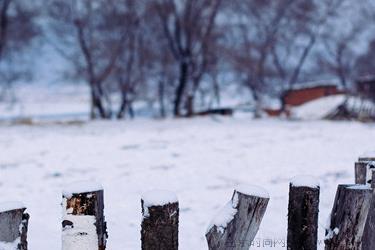 小雪节气的天气特点