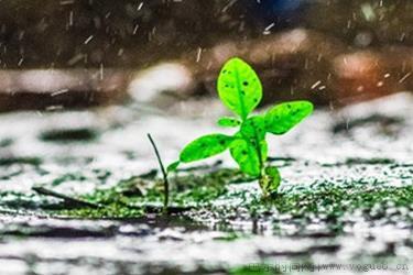 谷雨是24节气中第几个