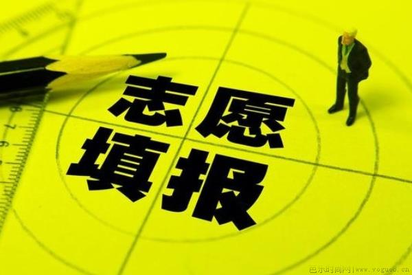 平行志愿录取规则及填报技巧