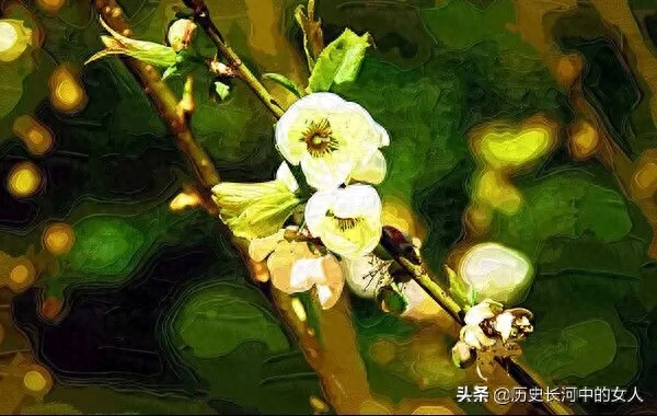 梅花的别称与美称有哪些？梅花十八雅称