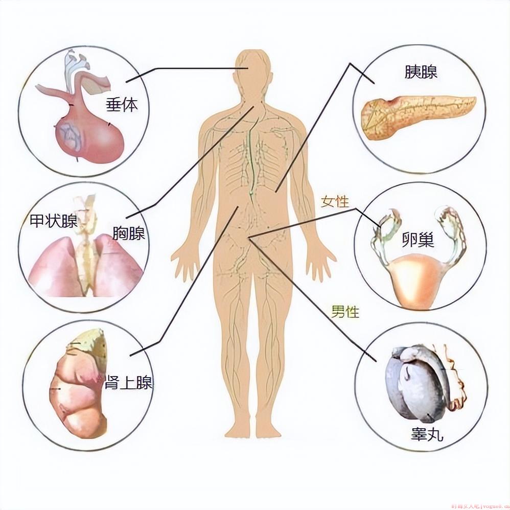 负面情绪长期压抑会造成什么结果