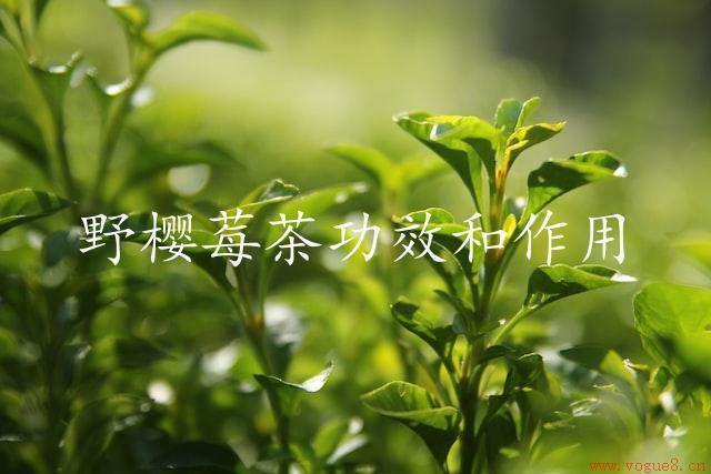 野樱莓茶功效和作用（野樱莓茶美容养颜）