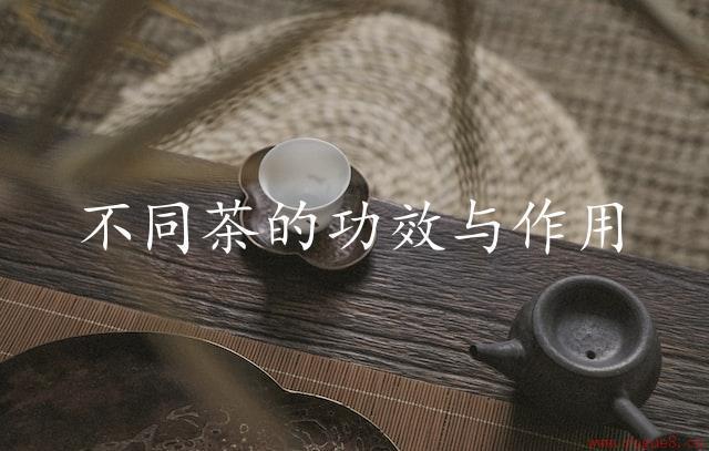 不同茶的功效与作用：从营养角度比较