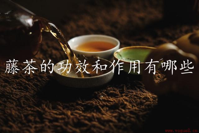 藤茶的功效和作用有哪些（深入了解藤茶的精彩）