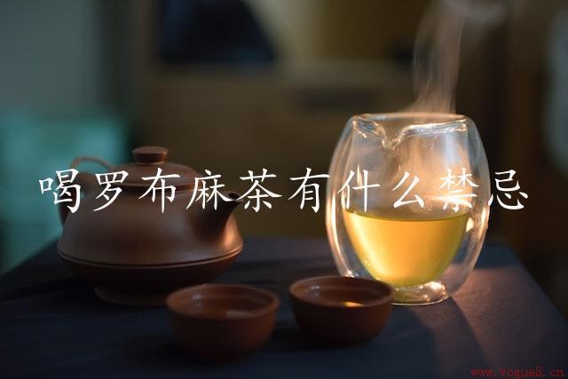 喝罗布麻茶有什么禁忌（注意事项）