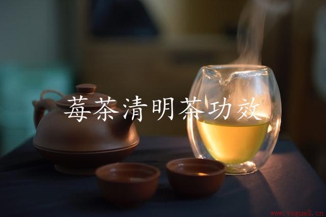 莓茶清明茶功效（护肝抗氧化）